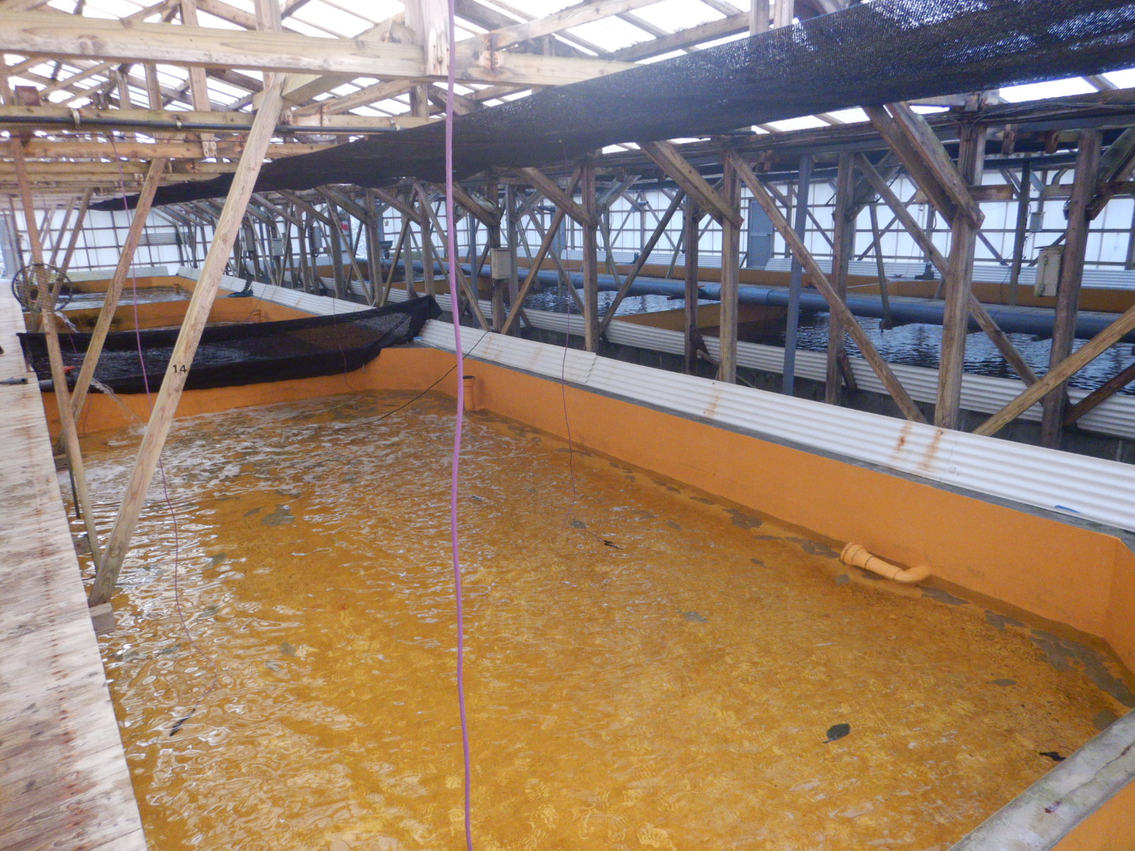 ｱｸﾞﾘ鹿児島養殖ｾﾝｻｰ設置工事